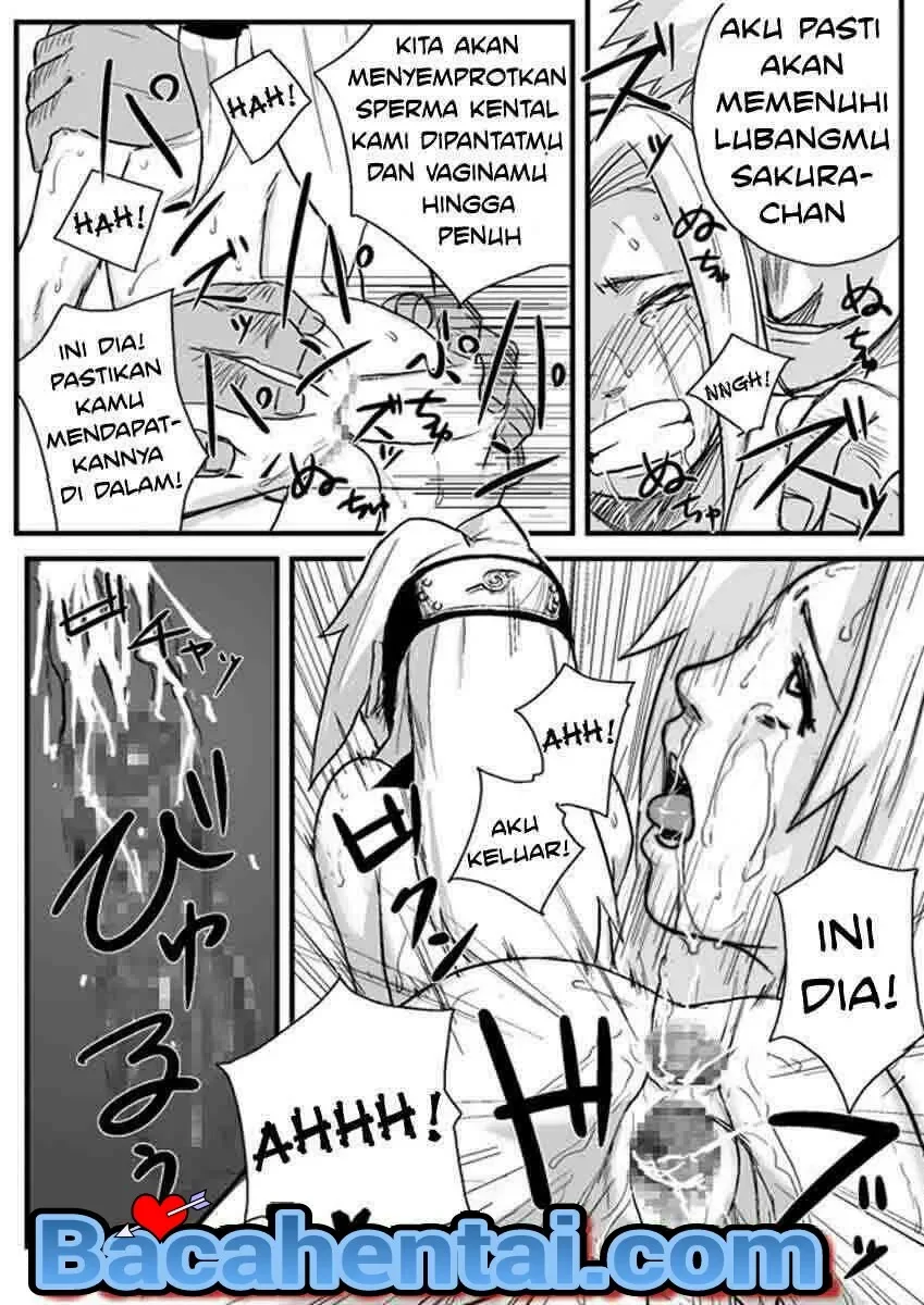 Halaman 17